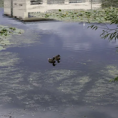 Express Dublin-airport By Ihg 3* Santry